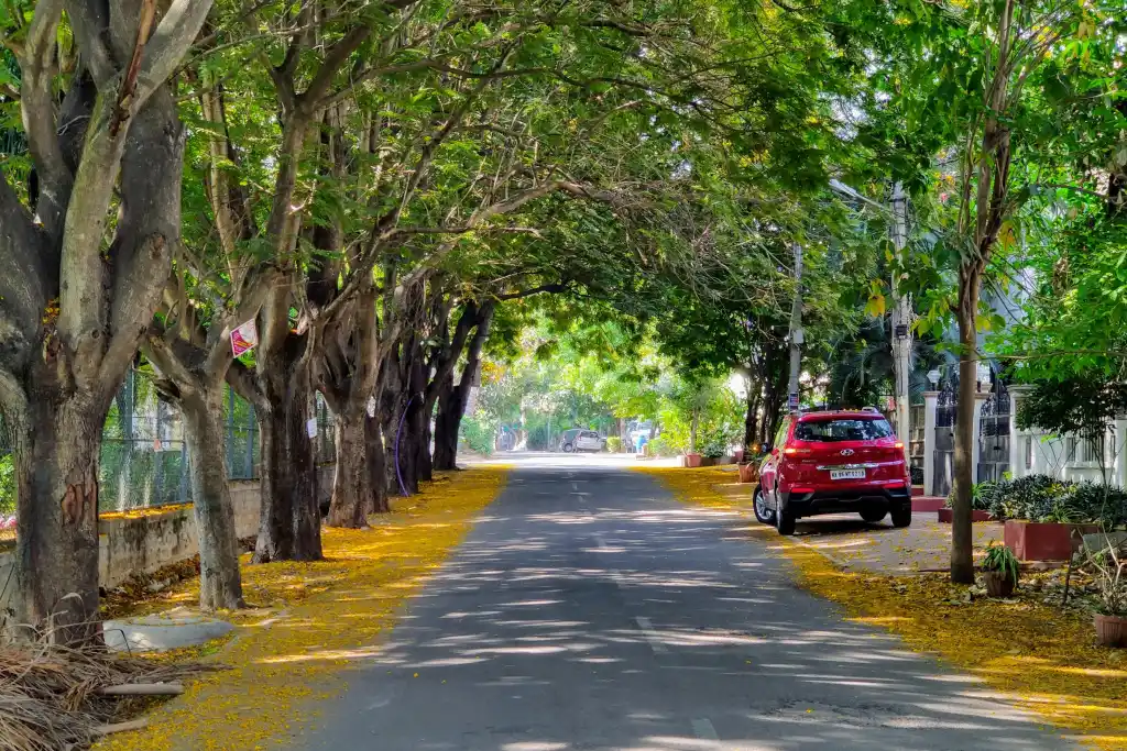 Bangalore